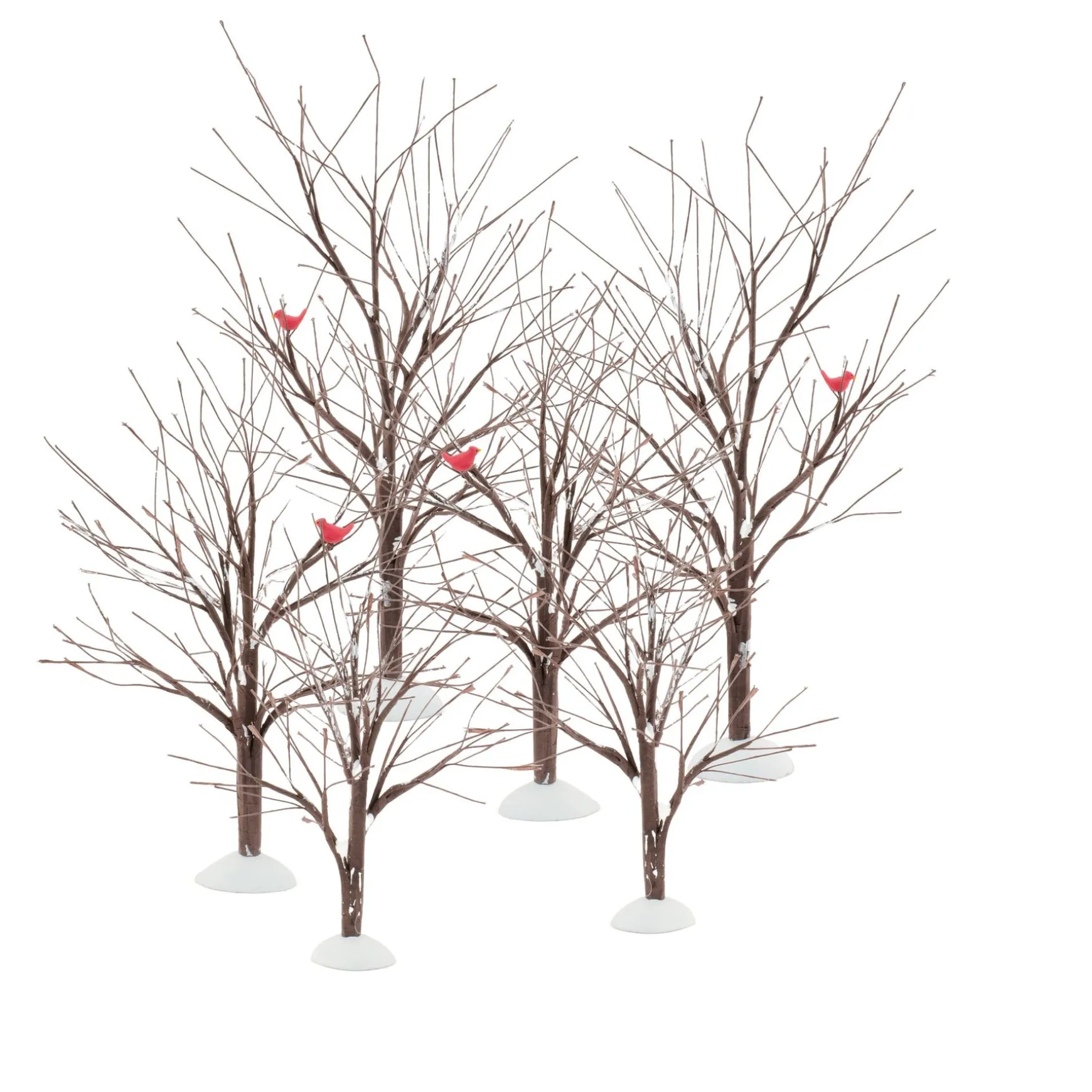 Bare Branch Tree