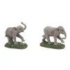 Zoological Garden Elephant st2